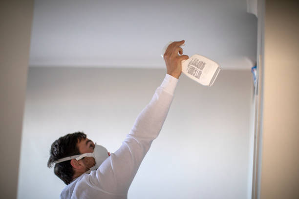 Best Home Mold Removal  in Mcgregor, FL