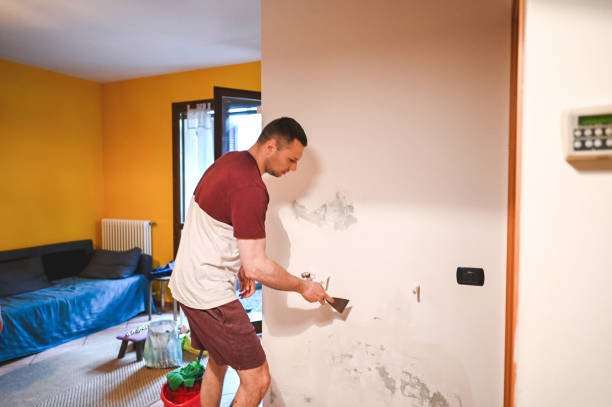 Mold Removal Process in Mcgregor, FL