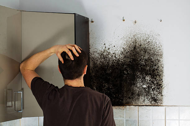 Best Emergency Mold Removal  in Mcgregor, FL